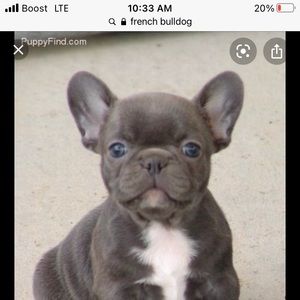 Meet your Posher, Evona